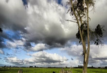 大连马拉松、青岛海上马拉松组委会被处罚中国马拉松平台微信公号.