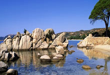 孙颖莎王曼昱今晚争冠人民日报微博.：欧博官网